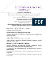 A Divisão Celular e o Ciclo Celular