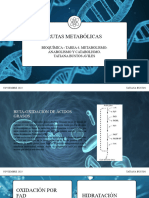 Beta Oxidación