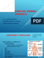 13 Evaluaci-Sistema-Linfatico