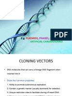 3.basic Tools - Cloning Vectors