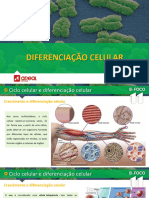 Diferenciação - Celular Areal