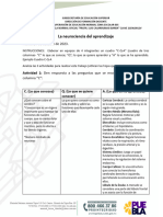 Cuadro Del Sistema Nervioso