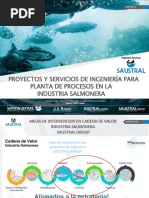 PROYECTOS DE INGENIERA SAUSTRAL Agosto 22 Rev01