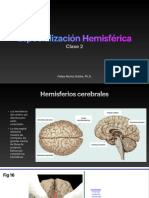 Clase2 Especializacion Hemisferica