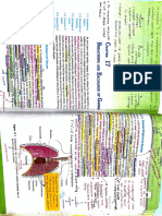 Breadthing & Excahnge of Gases NCERT Marking