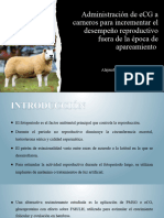 6 - Administración de eCG A Carneros para Incrementar El Desempeño Reproductivo