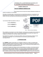 TURBINA HIDRAULICA - Caracteristicas Generales y Funcionamiento