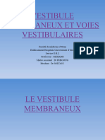 Vestibule Membraneux Et Voies Vestibulaires