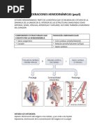 Consideraciones Hemodinámicas