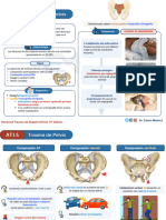 Trauma de Pelvis