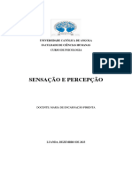 Trabalho de Sensação e Percepçâo-1