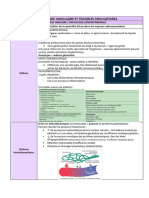 Anapath 1