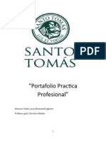 Portafolio Practica Profesional