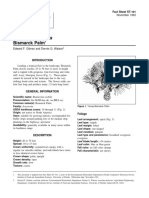 Bismarckia Nobilis Bismarck Palm: Fact Sheet ST-101