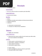 Neuro Resumo