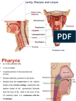 Phraynx Final