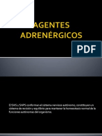 Agentes Adrenérgicos