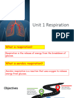 1.1 The Human Respiratory System - 1.2 Gas Exchange - 1.3 Breathing