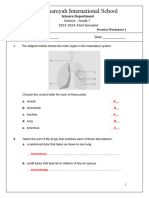 Practice Worksheet Ans 1-G7