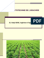 2.cours Phytotechnie Arachide