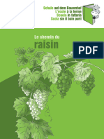 55146f Le Chemin Du Raisin 2020 YUMPU