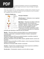 O Sistema Endócrino É o Conjunto de Glândulas Responsáveis P