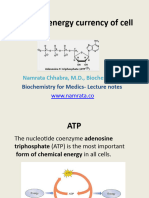 Namrata - Atp Intro Energy Currency Btech MLB 104 Use