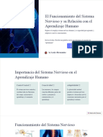 El Funcionamiento Del Sistema Nervioso y Su Relacion Con El Aprendizaje Humano