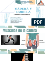 Biomecánica Articular Cadera y Rodilla