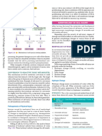 Harsh Mohan Textbook of Pathology 6th Ed 1