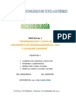 Curva de Crecimiento de E Coli y Levadura Candida