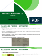 Pragas, Doenças, Plantas Daninhas, Colheita e Beneficiamento.