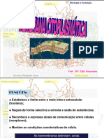 Membrana Plasmática - Estrutura