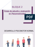 Bloque 2. Áreas de Estudio y Evaluación en Psicomotricidad