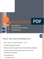 Lecture 04 - Protochordates - Hemichordata