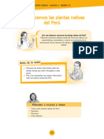 Reconocemos Las Plantas Nativas Del Perú