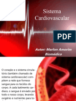 Anatomia - Aula - Sistema Cardiovascular