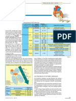 Onde P Conductrice Fréquence Cycles / MN Diagnostics Possibles