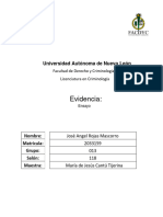 Ensayo Contaminación