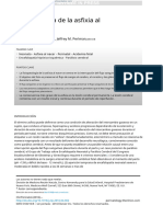 2 B. PATHOPHYSIOLOGY OF BIRTH ASPHYXIA - En.es