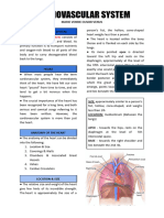 Cardiovascular System