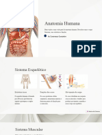 Anatomia Humana