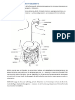 Cuadernillo Biologia 4to Año-1