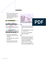 CYTO DNA Translation