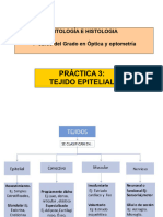 Practica 3 Cito Histo 2021-22