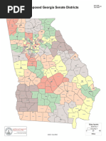 Georgia State Proposed Map For Voting District