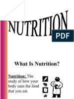 Nutrition Basics