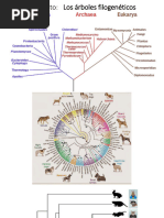 Nomenclatura y Taxonomia