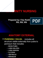 Maternity Nursing Lecture Presentation