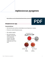 Streptococcus Pyogenes